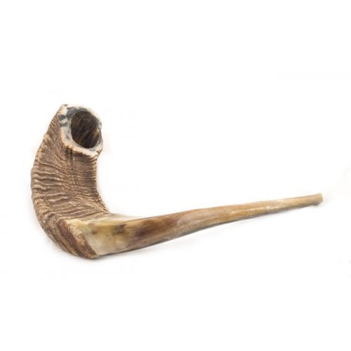 Extra Large Natural Rams Horn Shofar for $250.00 & accessories available